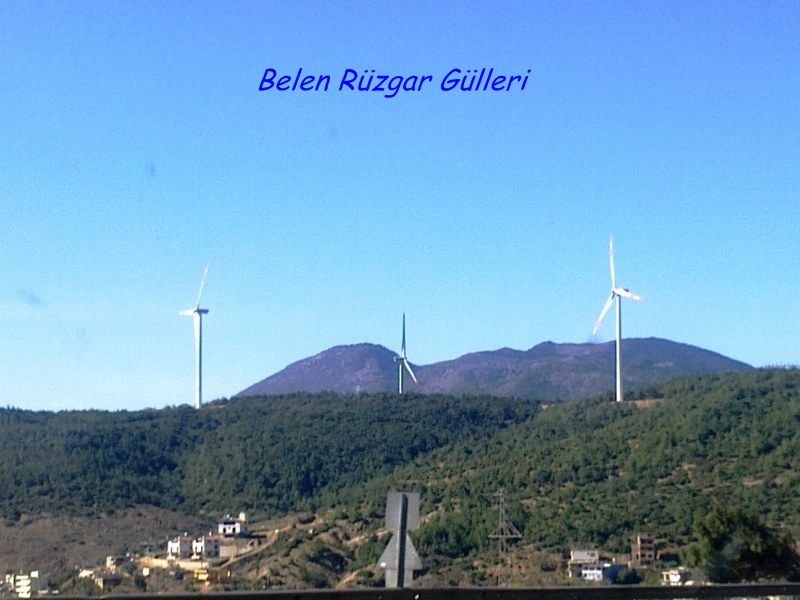 GÃƒÂƒÃ‚ÂƒÃƒÂ‚Ã‚Â¶rÃƒÂƒÃ‚ÂƒÃƒÂ‚Ã‚Â¼ntÃƒÂƒÃ‚ÂƒÃƒÂ‚Ã‚Â¼0668 [800x600].jpg