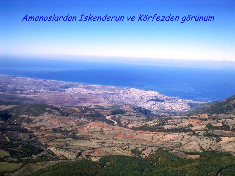 GÃƒÂƒÃ‚ÂƒÃƒÂ‚Ã‚Â¶rÃƒÂƒÃ‚ÂƒÃƒÂ‚Ã‚Â¼ntÃƒÂƒÃ‚ÂƒÃƒÂ‚Ã‚Â¼0681 [800x600].jpg