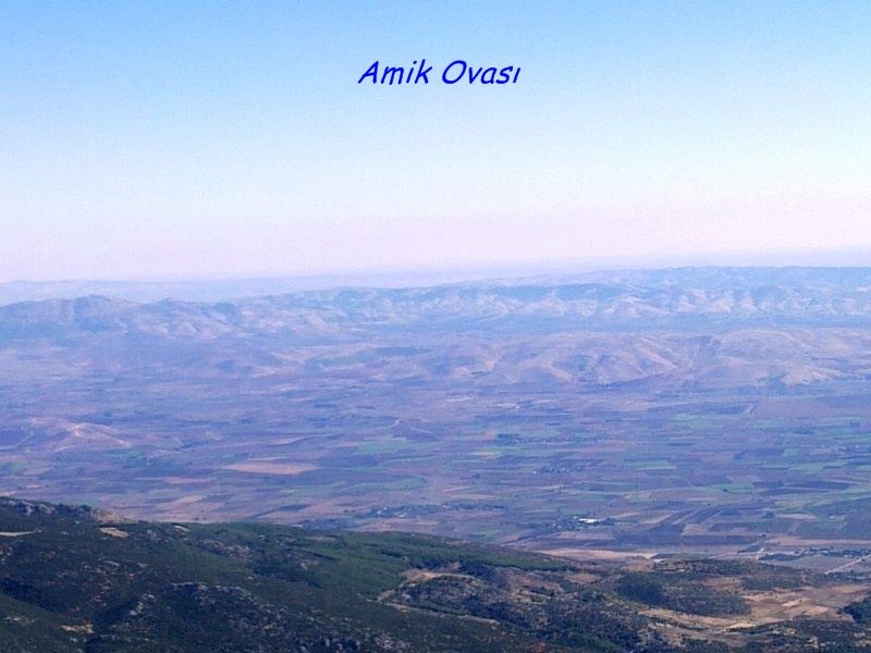 GÃƒÂƒÃ‚ÂƒÃƒÂ‚Ã‚Â¶rÃƒÂƒÃ‚ÂƒÃƒÂ‚Ã‚Â¼ntÃƒÂƒÃ‚ÂƒÃƒÂ‚Ã‚Â¼0682 [800x600].jpg