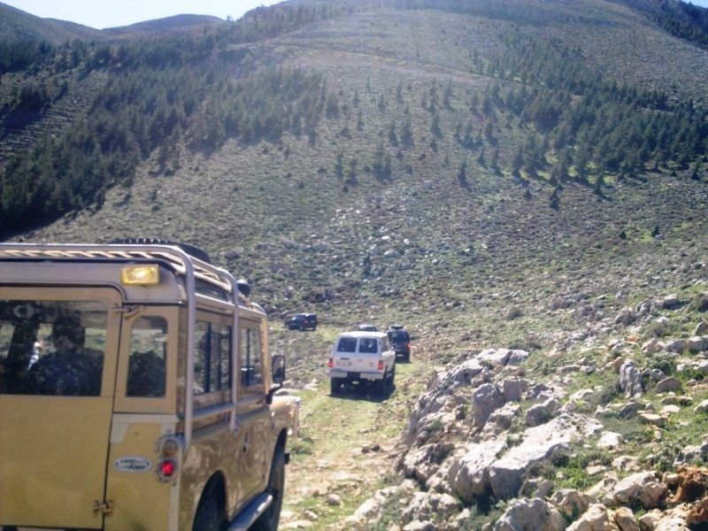 GÃƒÂƒÃ‚ÂƒÃƒÂ‚Ã‚Â¶rÃƒÂƒÃ‚ÂƒÃƒÂ‚Ã‚Â¼ntÃƒÂƒÃ‚ÂƒÃƒÂ‚Ã‚Â¼0698 [800x600].jpg