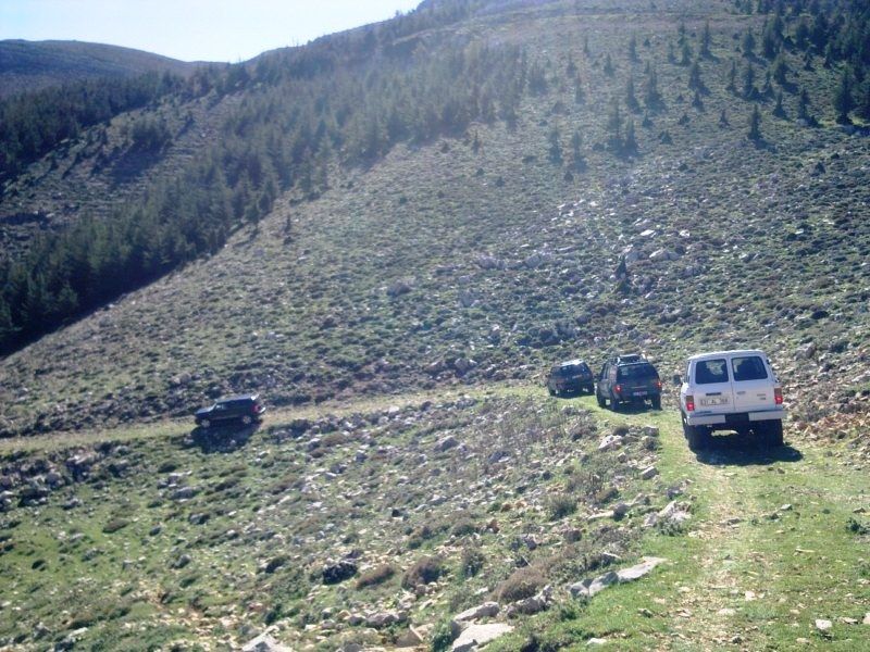 GÃƒÂƒÃ‚ÂƒÃƒÂ‚Ã‚Â¶rÃƒÂƒÃ‚ÂƒÃƒÂ‚Ã‚Â¼ntÃƒÂƒÃ‚ÂƒÃƒÂ‚Ã‚Â¼0699 [800x600].jpg