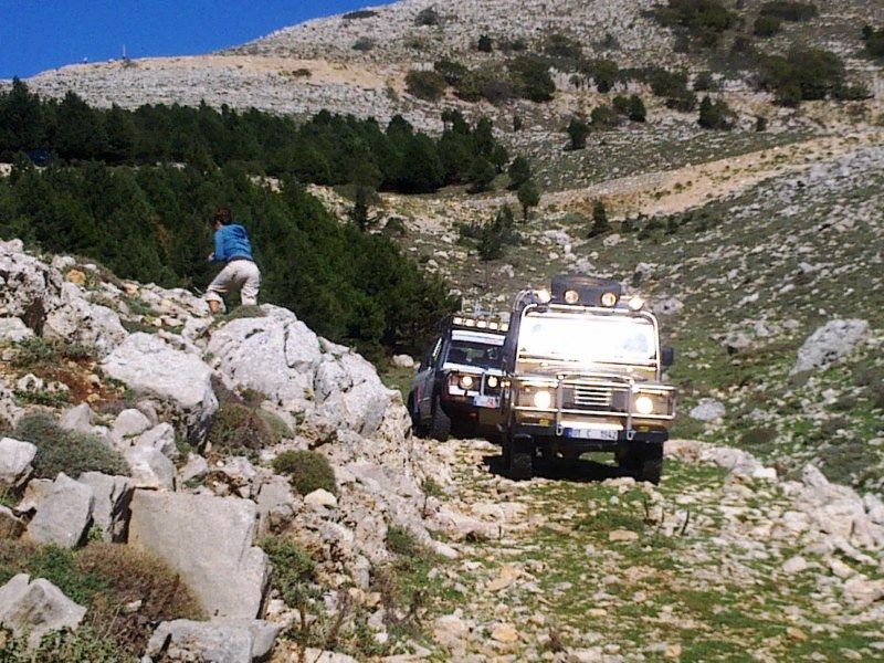 GÃƒÂƒÃ‚ÂƒÃƒÂ‚Ã‚Â¶rÃƒÂƒÃ‚ÂƒÃƒÂ‚Ã‚Â¼ntÃƒÂƒÃ‚ÂƒÃƒÂ‚Ã‚Â¼0700 [800x600].jpg