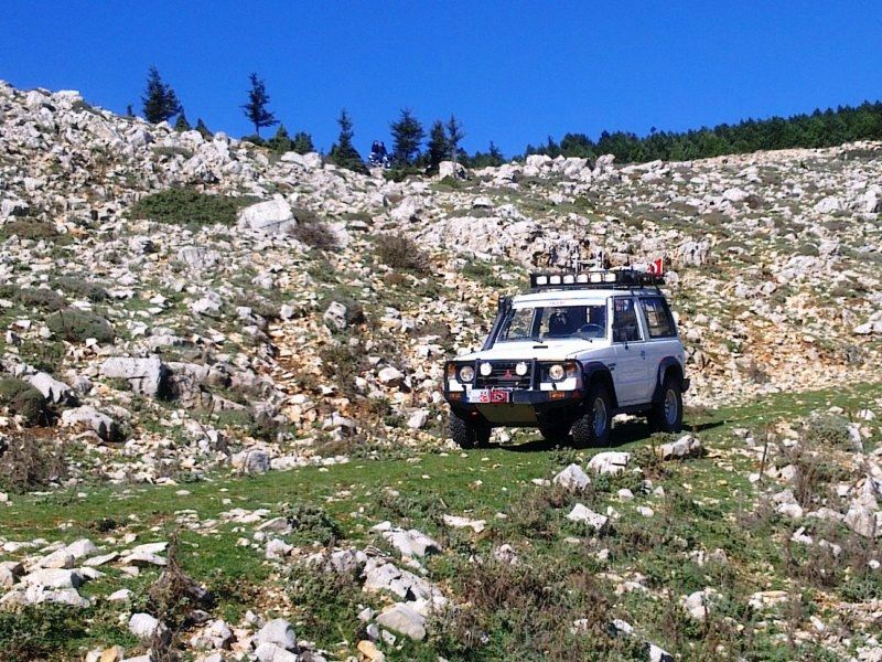 GÃƒÂƒÃ‚ÂƒÃƒÂ‚Ã‚Â¶rÃƒÂƒÃ‚ÂƒÃƒÂ‚Ã‚Â¼ntÃƒÂƒÃ‚ÂƒÃƒÂ‚Ã‚Â¼0704 [800x600].jpg