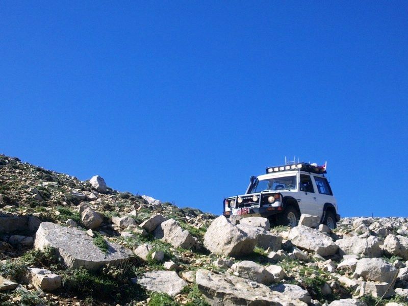 GÃƒÂƒÃ‚ÂƒÃƒÂ‚Ã‚Â¶rÃƒÂƒÃ‚ÂƒÃƒÂ‚Ã‚Â¼ntÃƒÂƒÃ‚ÂƒÃƒÂ‚Ã‚Â¼0710 [800x600].jpg