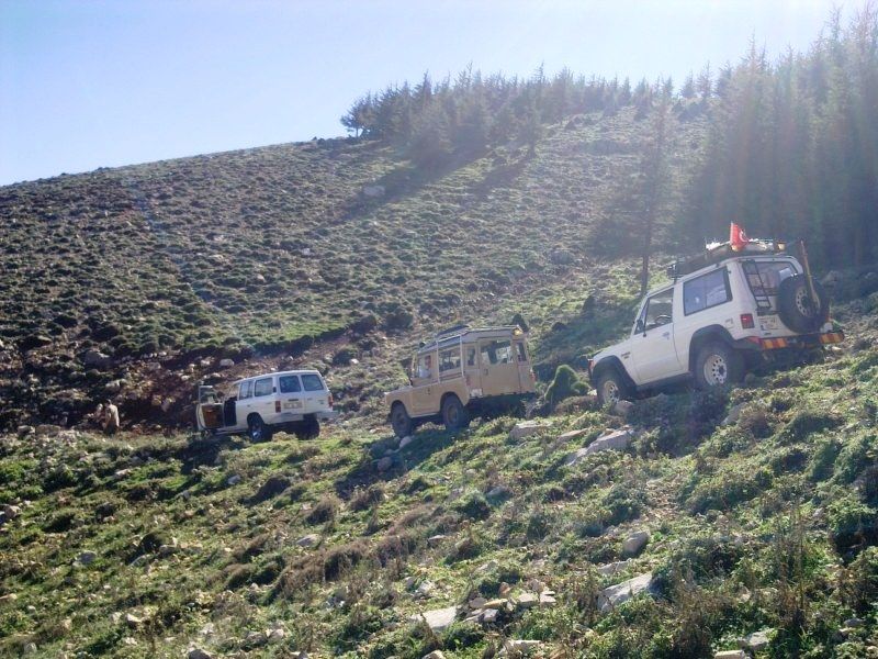 GÃƒÂƒÃ‚ÂƒÃƒÂ‚Ã‚Â¶rÃƒÂƒÃ‚ÂƒÃƒÂ‚Ã‚Â¼ntÃƒÂƒÃ‚ÂƒÃƒÂ‚Ã‚Â¼0712 [800x600].jpg