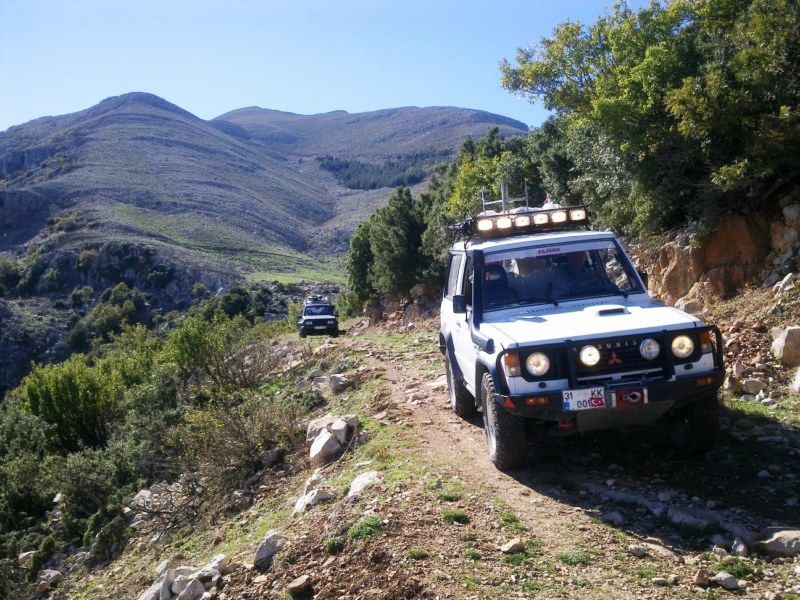 GÃƒÂƒÃ‚ÂƒÃƒÂ‚Ã‚Â¶rÃƒÂƒÃ‚ÂƒÃƒÂ‚Ã‚Â¼ntÃƒÂƒÃ‚ÂƒÃƒÂ‚Ã‚Â¼0728 [800x600].jpg