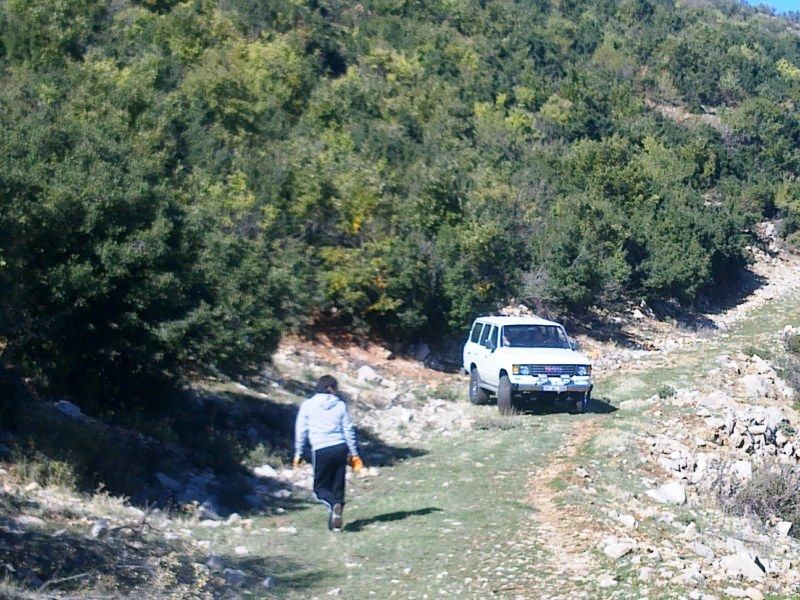 GÃƒÂƒÃ‚ÂƒÃƒÂ‚Ã‚Â¶rÃƒÂƒÃ‚ÂƒÃƒÂ‚Ã‚Â¼ntÃƒÂƒÃ‚ÂƒÃƒÂ‚Ã‚Â¼0733 [800x600].jpg