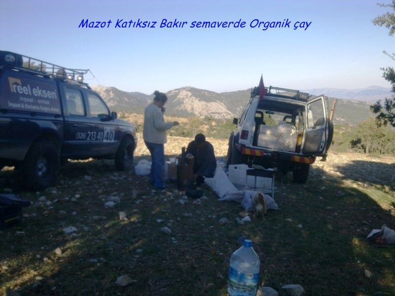 GÃƒÂƒÃ‚ÂƒÃƒÂ‚Ã‚Â¶rÃƒÂƒÃ‚ÂƒÃƒÂ‚Ã‚Â¼ntÃƒÂƒÃ‚ÂƒÃƒÂ‚Ã‚Â¼0737 [800x600].jpg