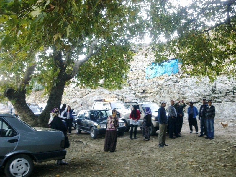 GÃƒÂƒÃ‚ÂƒÃƒÂ‚Ã‚Â¶rÃƒÂƒÃ‚ÂƒÃƒÂ‚Ã‚Â¼ntÃƒÂƒÃ‚ÂƒÃƒÂ‚Ã‚Â¼0744 [800x600].jpg