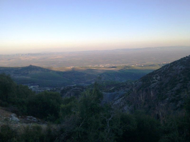 GÃƒÂƒÃ‚ÂƒÃƒÂ‚Ã‚Â¶rÃƒÂƒÃ‚ÂƒÃƒÂ‚Ã‚Â¼ntÃƒÂƒÃ‚ÂƒÃƒÂ‚Ã‚Â¼0749 [800x600].jpg