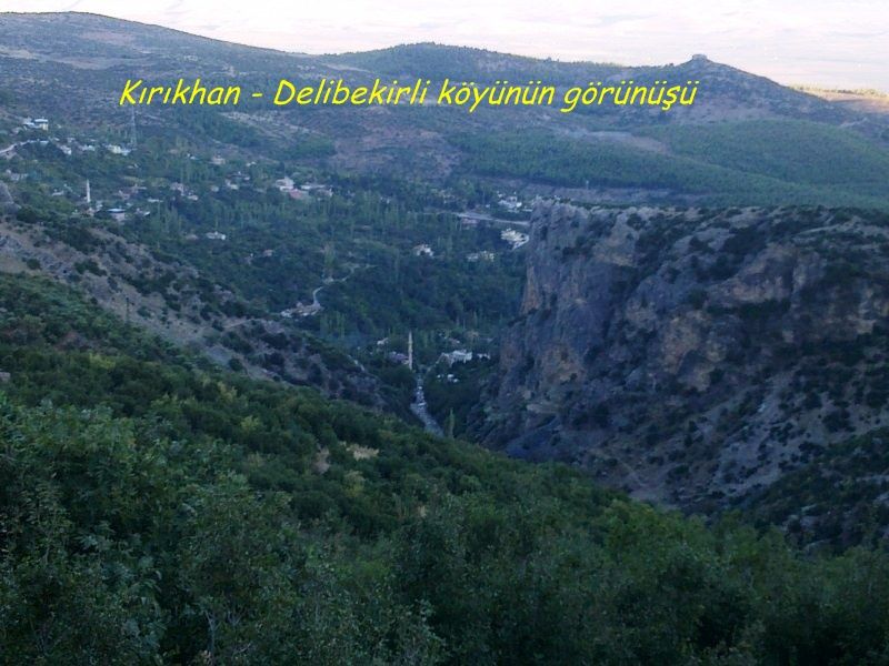 GÃƒÂƒÃ‚ÂƒÃƒÂ‚Ã‚Â¶rÃƒÂƒÃ‚ÂƒÃƒÂ‚Ã‚Â¼ntÃƒÂƒÃ‚ÂƒÃƒÂ‚Ã‚Â¼0754 [800x600].jpg