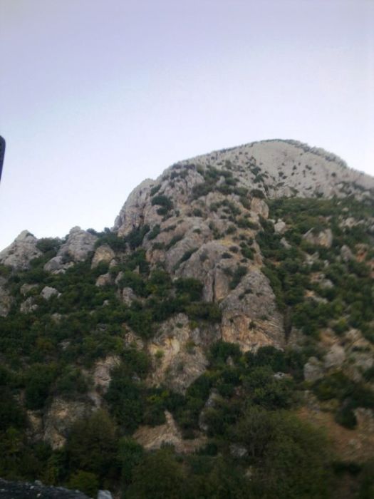 GÃƒÂƒÃ‚ÂƒÃƒÂ‚Ã‚Â¶rÃƒÂƒÃ‚ÂƒÃƒÂ‚Ã‚Â¼ntÃƒÂƒÃ‚ÂƒÃƒÂ‚Ã‚Â¼0765 [800x600].jpg