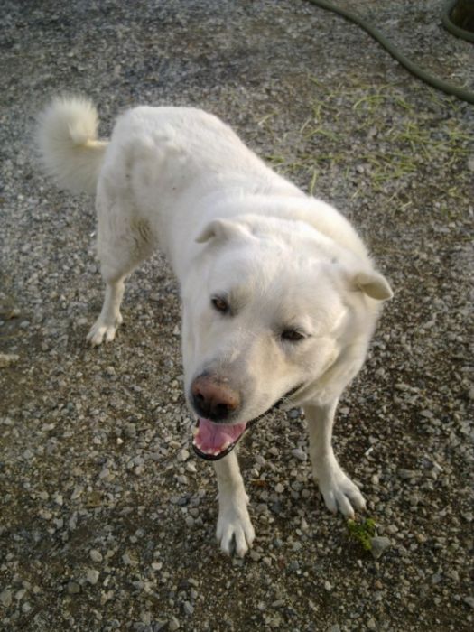 GÃƒÂƒÃ‚ÂƒÃƒÂ‚Ã‚Â¶rÃƒÂƒÃ‚ÂƒÃƒÂ‚Ã‚Â¼ntÃƒÂƒÃ‚ÂƒÃƒÂ‚Ã‚Â¼1272 [800x600].jpg