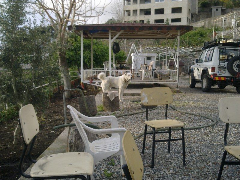 GÃƒÂƒÃ‚ÂƒÃƒÂ‚Ã‚Â¶rÃƒÂƒÃ‚ÂƒÃƒÂ‚Ã‚Â¼ntÃƒÂƒÃ‚ÂƒÃƒÂ‚Ã‚Â¼1273 [800x600].jpg