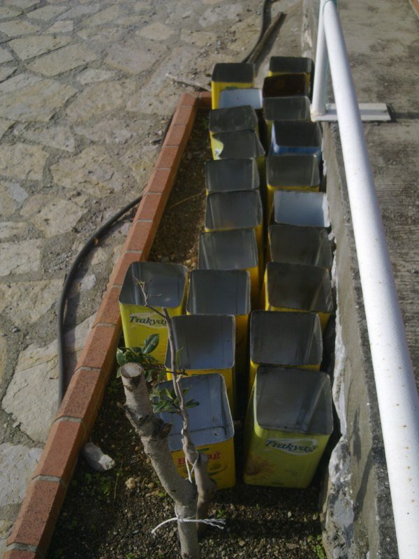 GÃƒÂƒÃ‚ÂƒÃƒÂ‚Ã‚Â¶rÃƒÂƒÃ‚ÂƒÃƒÂ‚Ã‚Â¼ntÃƒÂƒÃ‚ÂƒÃƒÂ‚Ã‚Â¼1354 [800x600].jpg