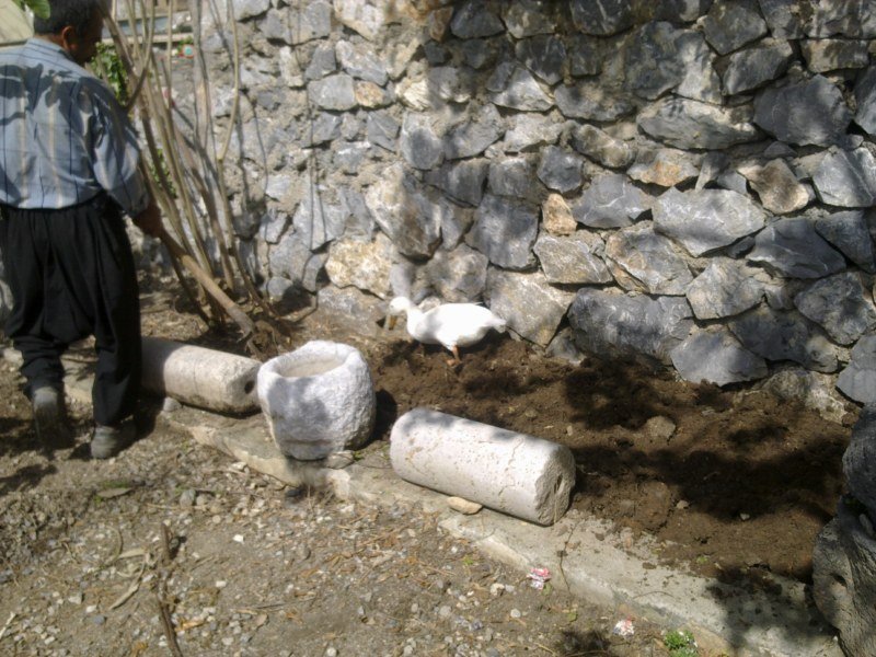 GÃƒÂƒÃ‚ÂƒÃƒÂ‚Ã‚Â¶rÃƒÂƒÃ‚ÂƒÃƒÂ‚Ã‚Â¼ntÃƒÂƒÃ‚ÂƒÃƒÂ‚Ã‚Â¼1357 [800x600].jpg