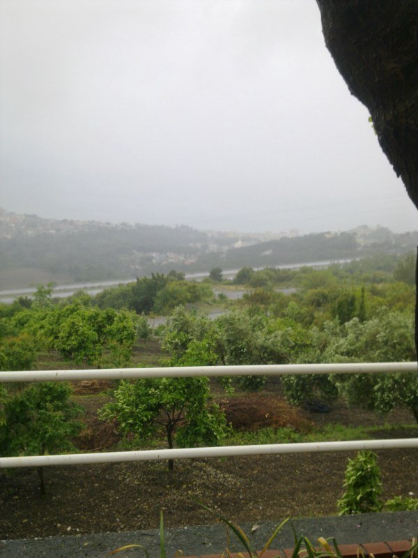 GÃƒÂƒÃ‚ÂƒÃƒÂ‚Ã‚Â¶rÃƒÂƒÃ‚ÂƒÃƒÂ‚Ã‚Â¼ntÃƒÂƒÃ‚ÂƒÃƒÂ‚Ã‚Â¼1415 [800x600].jpg