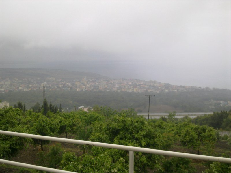 GÃƒÂƒÃ‚ÂƒÃƒÂ‚Ã‚Â¶rÃƒÂƒÃ‚ÂƒÃƒÂ‚Ã‚Â¼ntÃƒÂƒÃ‚ÂƒÃƒÂ‚Ã‚Â¼1416 [800x600].jpg