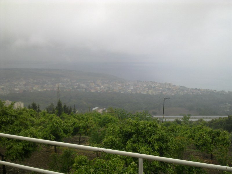 GÃƒÂƒÃ‚ÂƒÃƒÂ‚Ã‚Â¶rÃƒÂƒÃ‚ÂƒÃƒÂ‚Ã‚Â¼ntÃƒÂƒÃ‚ÂƒÃƒÂ‚Ã‚Â¼1419 [800x600].jpg