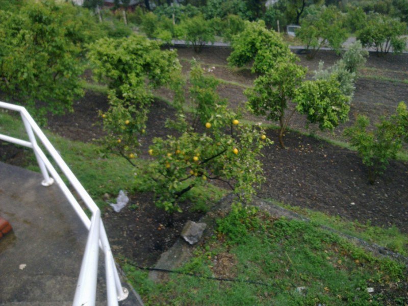 GÃƒÂƒÃ‚ÂƒÃƒÂ‚Ã‚Â¶rÃƒÂƒÃ‚ÂƒÃƒÂ‚Ã‚Â¼ntÃƒÂƒÃ‚ÂƒÃƒÂ‚Ã‚Â¼1420 [800x600].jpg