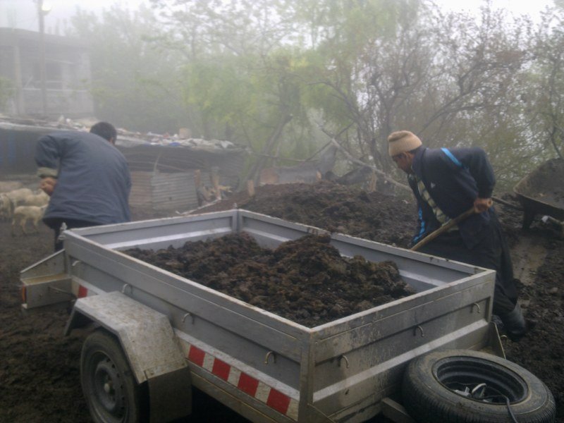 GÃƒÂƒÃ‚ÂƒÃƒÂ‚Ã‚Â¶rÃƒÂƒÃ‚ÂƒÃƒÂ‚Ã‚Â¼ntÃƒÂƒÃ‚ÂƒÃƒÂ‚Ã‚Â¼1471 [800x600].jpg