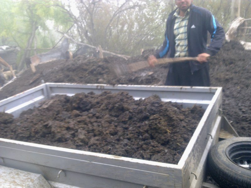 GÃƒÂƒÃ‚ÂƒÃƒÂ‚Ã‚Â¶rÃƒÂƒÃ‚ÂƒÃƒÂ‚Ã‚Â¼ntÃƒÂƒÃ‚ÂƒÃƒÂ‚Ã‚Â¼1473 [800x600].jpg