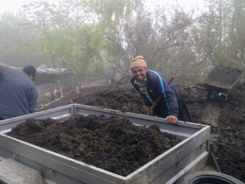 GÃƒÂƒÃ‚ÂƒÃƒÂ‚Ã‚Â¶rÃƒÂƒÃ‚ÂƒÃƒÂ‚Ã‚Â¼ntÃƒÂƒÃ‚ÂƒÃƒÂ‚Ã‚Â¼1474 [800x600].jpg