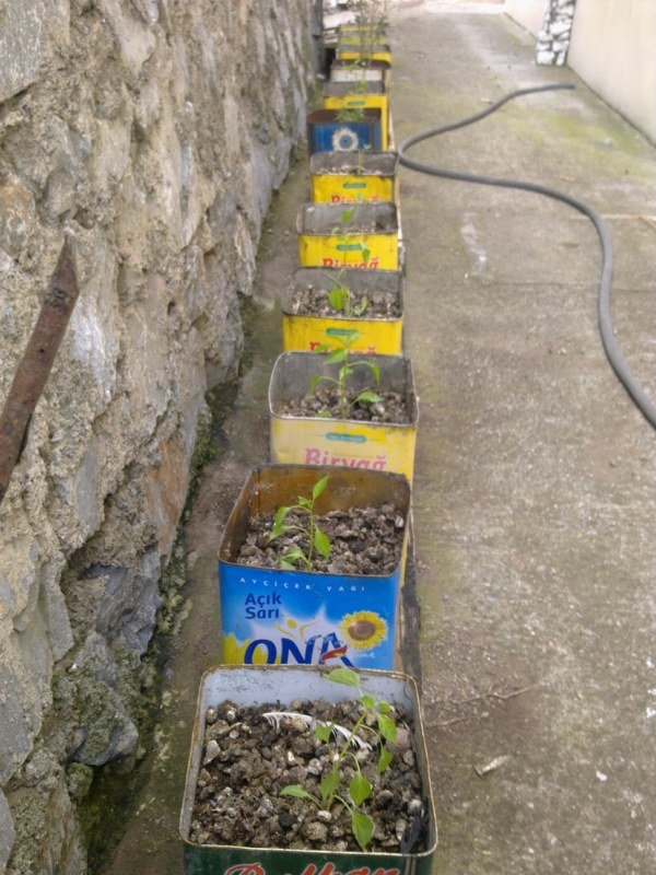 GÃƒÂƒÃ‚ÂƒÃƒÂ‚Ã‚Â¶rÃƒÂƒÃ‚ÂƒÃƒÂ‚Ã‚Â¼ntÃƒÂƒÃ‚ÂƒÃƒÂ‚Ã‚Â¼1524 [800x600].jpg