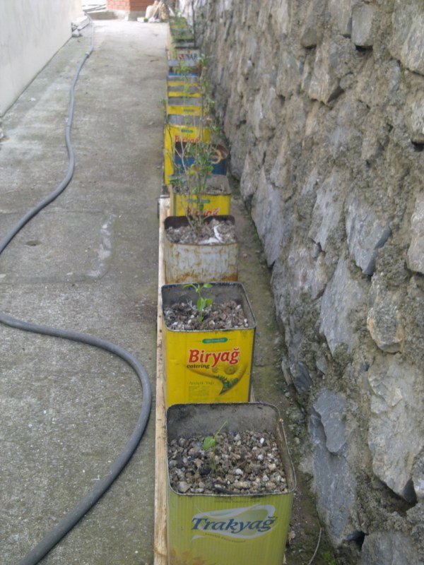 GÃƒÂƒÃ‚ÂƒÃƒÂ‚Ã‚Â¶rÃƒÂƒÃ‚ÂƒÃƒÂ‚Ã‚Â¼ntÃƒÂƒÃ‚ÂƒÃƒÂ‚Ã‚Â¼1525 [800x600].jpg