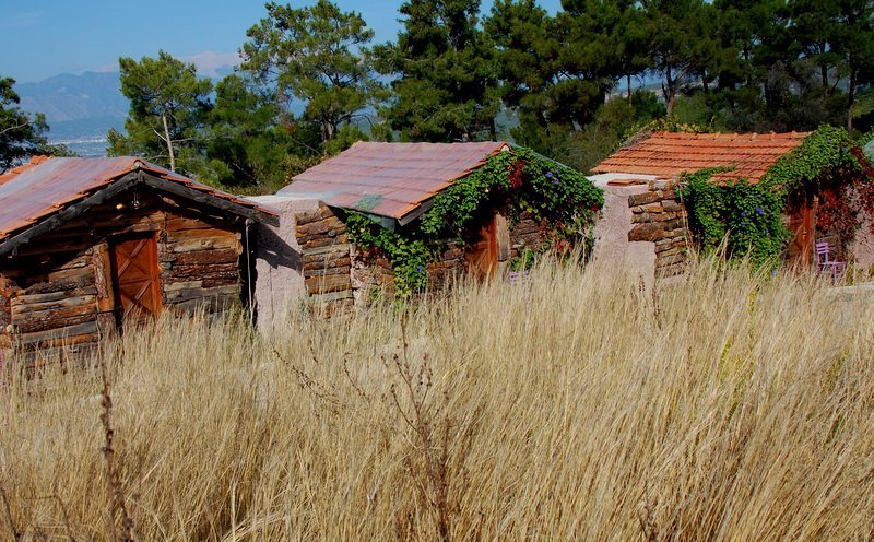 gagai 1.jpg