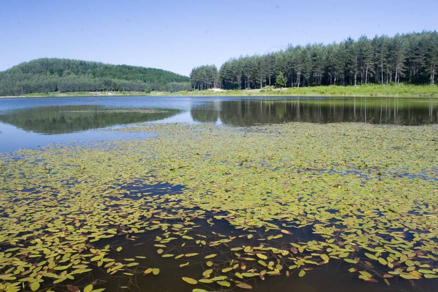 GEZENBÃƒÂƒÃ‚Â„ÃƒÂ‚Ã‚Â°LÃƒÂƒÃ‚Â„ÃƒÂ‚Ã‚Â°R-TOPUK YAYLA_1 (7).jpg