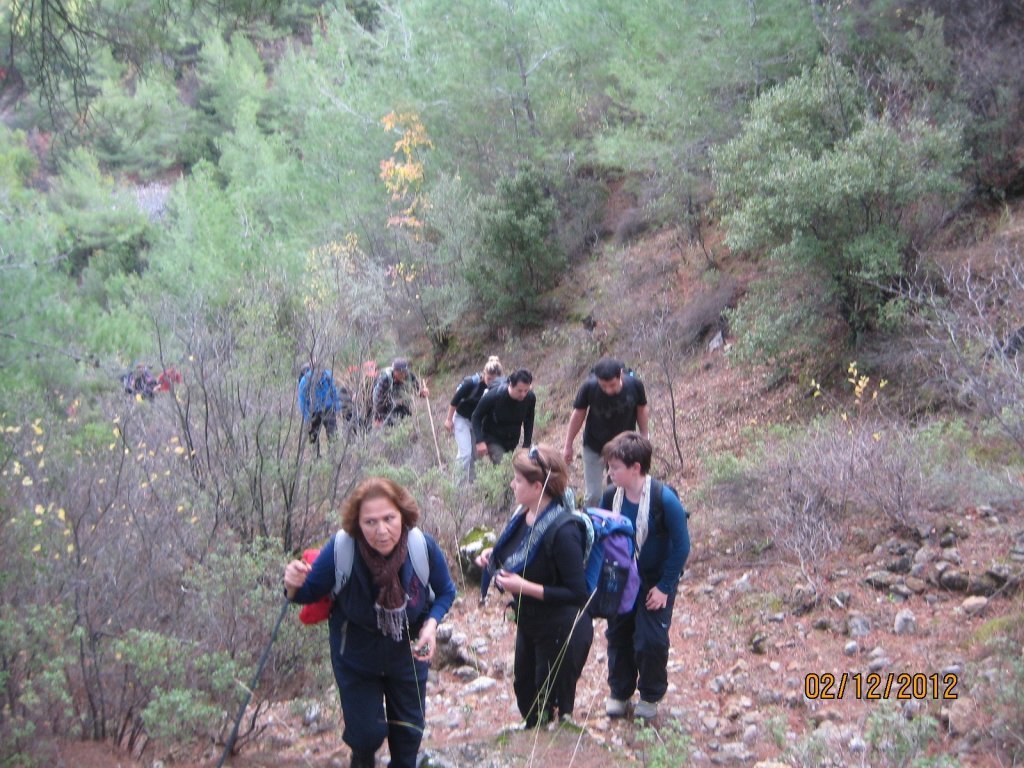 Gezenbilir ÃƒÂƒÃ‚Â„ÃƒÂ‚Ã‚Â°zmir; KavaklÃƒÂƒÃ‚Â„ÃƒÂ‚Ã‚Â±dere'de 02 AralÃƒÂƒÃ‚Â„ÃƒÂ‚Ã‚Â±k 2012  00016.