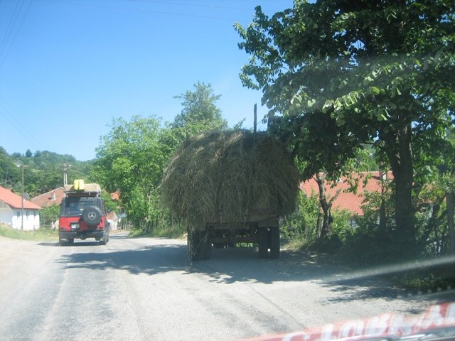 gezenbilir dÃƒÂƒÃ‚ÂƒÃƒÂ‚Ã‚Â¼zce topuk yaylasÃƒÂƒÃ‚Â„ÃƒÂ‚Ã‚Â± 082.jpg