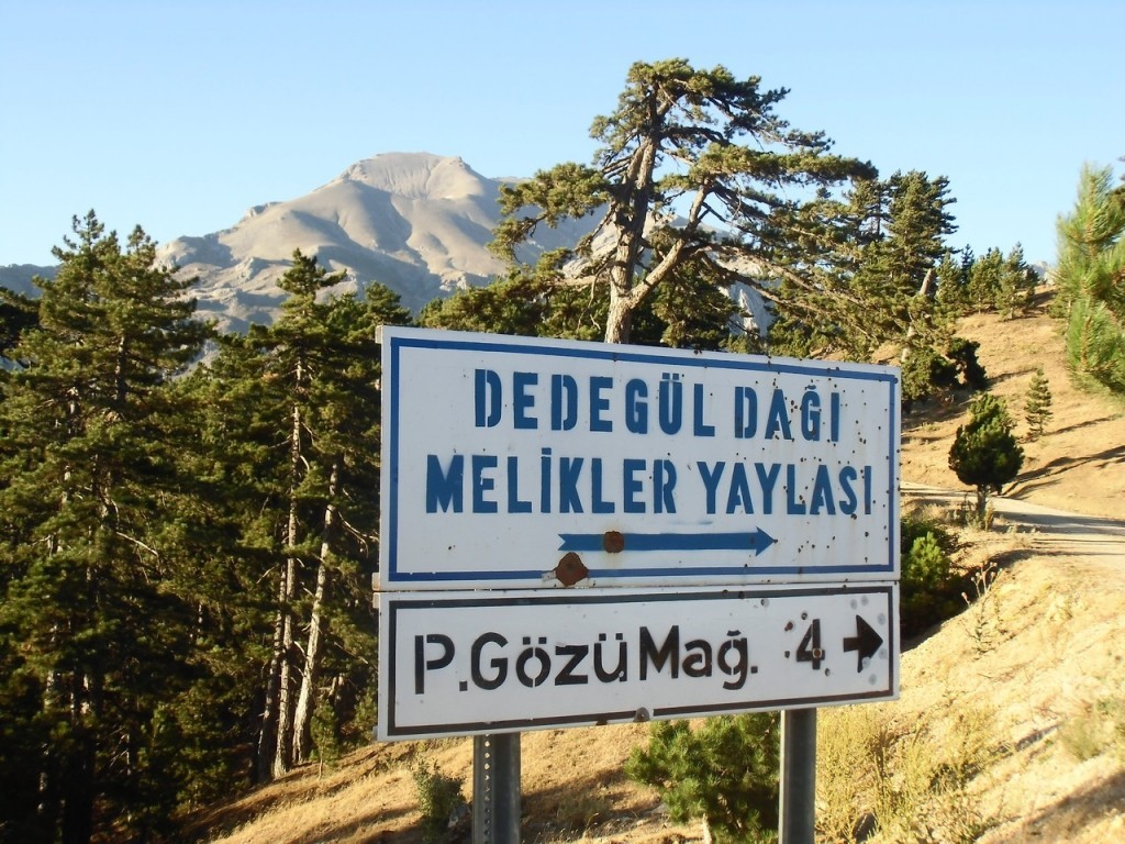 Gezenbilir Isparta Dedegl Dalarnda 03 06 A