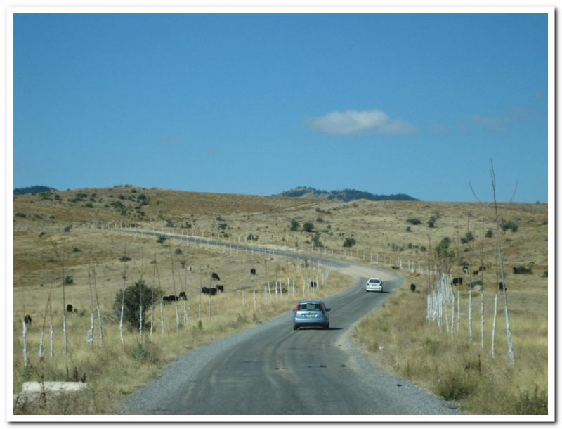 gezenbilir sorgun gÃƒÂƒÃ‚ÂƒÃƒÂ‚Ã‚Â¶leti 1.bÃƒÂƒÃ‚ÂƒÃƒÂ‚Ã‚Â¶lÃƒÂƒÃ‚ÂƒÃƒÂ‚Ã‚Â¼m 088.jpg
