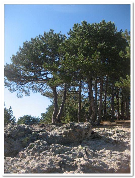 gezenbilir sorgun gÃƒÂƒÃ‚ÂƒÃƒÂ‚Ã‚Â¶leti 2.bÃƒÂƒÃ‚ÂƒÃƒÂ‚Ã‚Â¶lÃƒÂƒÃ‚ÂƒÃƒÂ‚Ã‚Â¼m 024.jpg