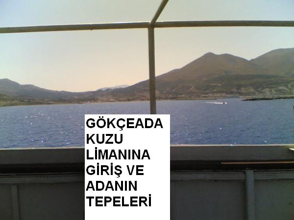 GÖKÇEADA KUZU L?MANINA G?R?? (1).jpg