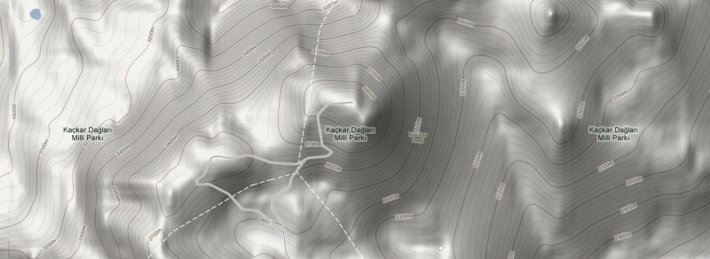 Google Terrain Map
