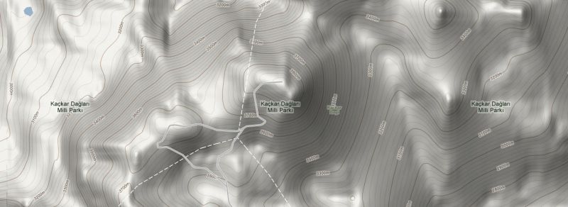Google Terrain Map.jpg