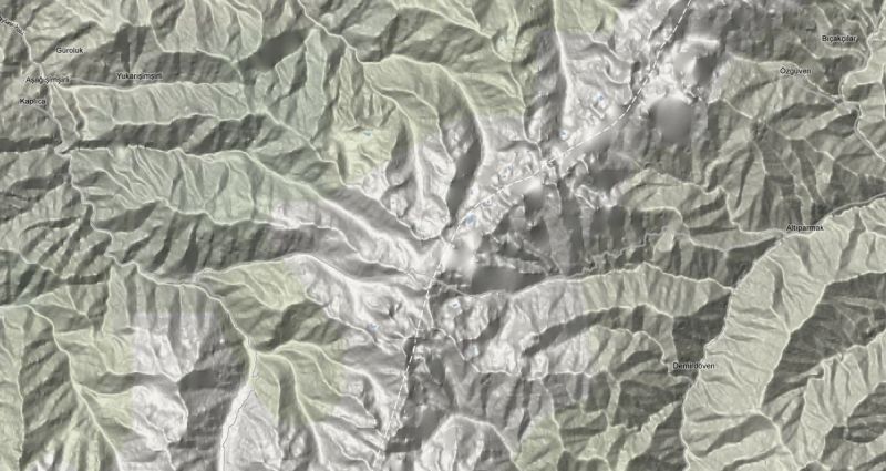 Google terrain_5.jpg