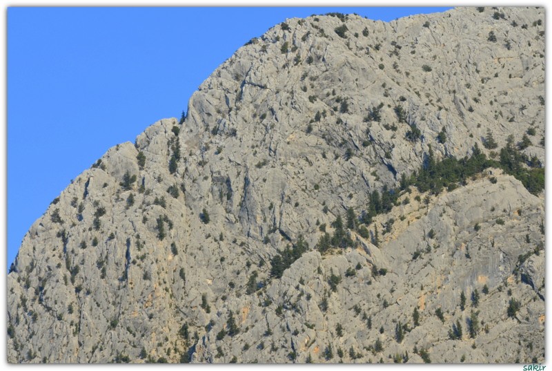 H.ÃƒÂƒÃ‚ÂƒÃƒÂ‚Ã‚Â‡ANDIRDA 080.JPG