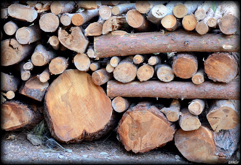 H.ÃƒÂƒÃ‚ÂƒÃƒÂ‚Ã‚Â‡ANDIRDA 146.JPG