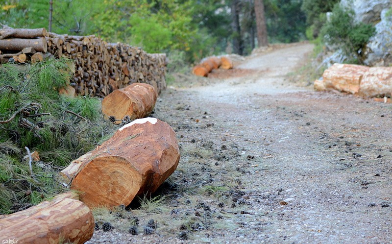 H.ÃƒÂƒÃ‚ÂƒÃƒÂ‚Ã‚Â‡ANDIRDA 148.JPG