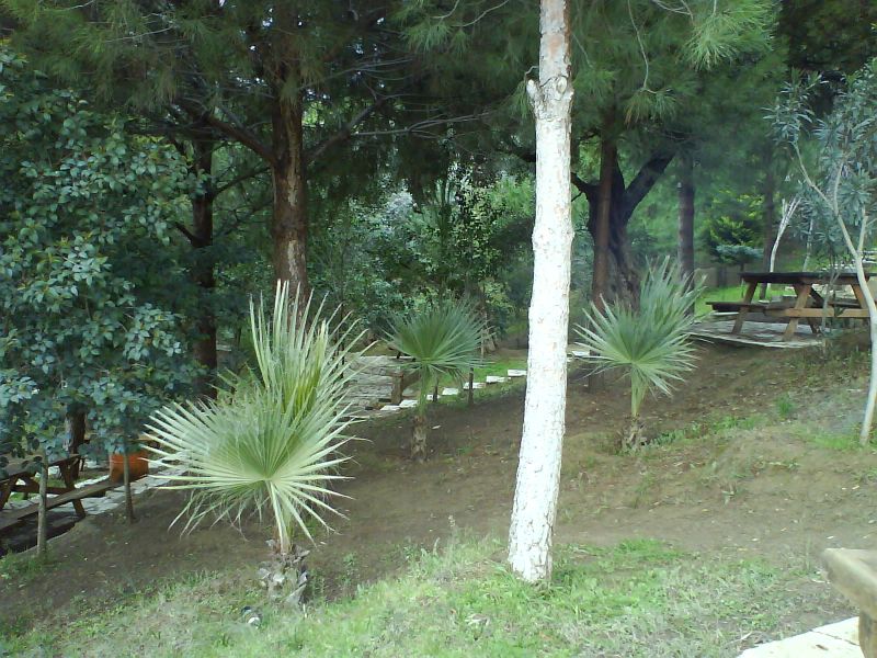 hacÃƒÂƒÃ‚Â„ÃƒÂ‚Ã‚Â± salih bayÃƒÂƒÃ‚Â„ÃƒÂ‚Ã‚Â±rÃƒÂƒÃ‚Â„ÃƒÂ‚Ã‚Â± 2.jpg