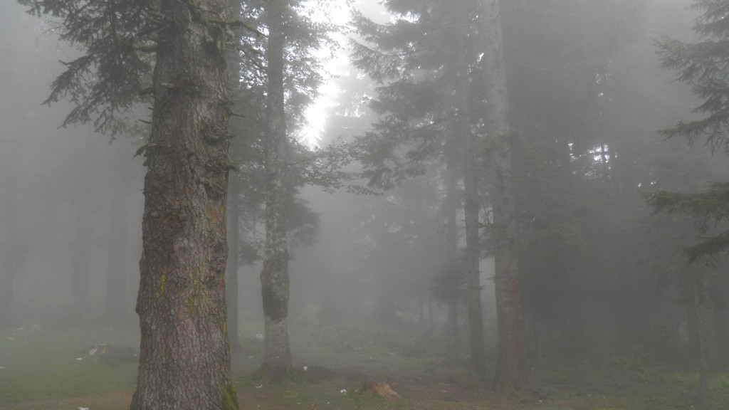 hÃƒÂƒÃ‚Â„ÃƒÂ‚Ã‚Â±dÃƒÂƒÃ‚Â„ÃƒÂ‚Ã‚Â±rnebi yaylasÃƒÂƒÃ‚Â„ÃƒÂ‚Ã‚Â±. (36).JPG