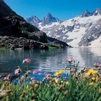 Hakkari