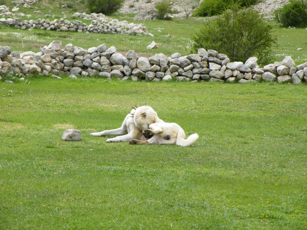 hatay off road 272.jpg