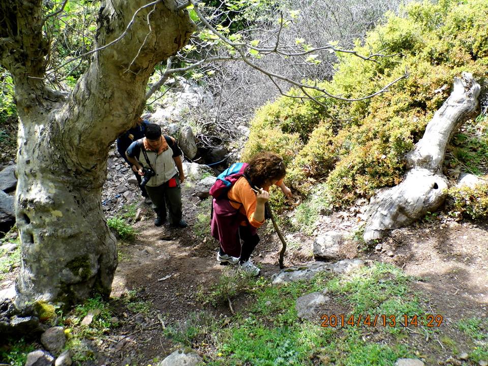 Hatundere  - DumanlÃƒÂƒÃ‚Â„ÃƒÂ‚Ã‚Â±daÃƒÂƒÃ‚Â„ÃƒÂ‚Ã‚ÂŸ (13 Nisan 2013) 047.jpg