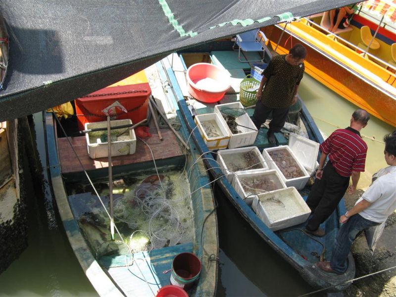 hong kong 2 098 (Medium).jpg