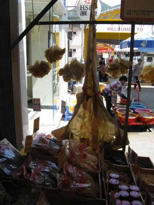 hong kong 2 105 (Medium).jpg